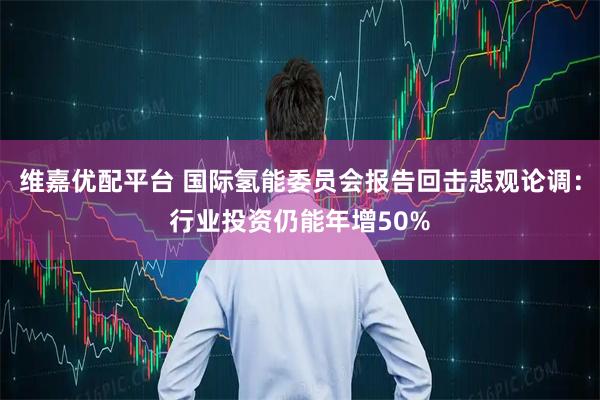 维嘉优配平台 国际氢能委员会报告回击悲观论调：行业投资仍能年增50%