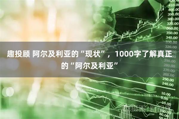 趣投顾 阿尔及利亚的“现状”，1000字了解真正的“阿尔及利亚”
