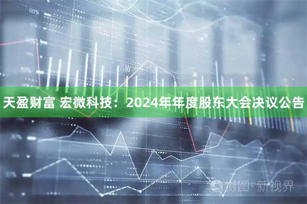 天盈财富 宏微科技：2024年年度股东大会决议公告