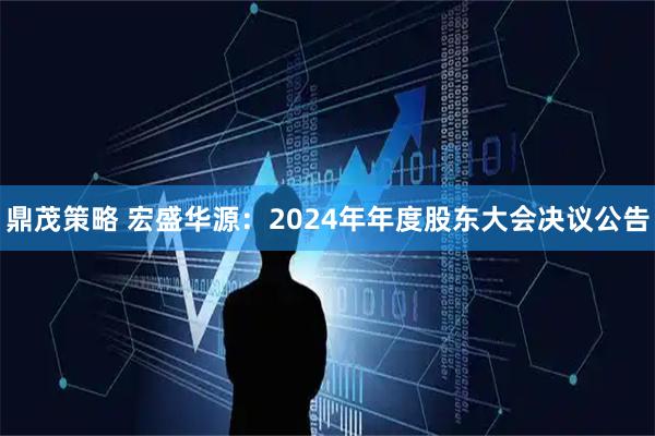 鼎茂策略 宏盛华源：2024年年度股东大会决议公告