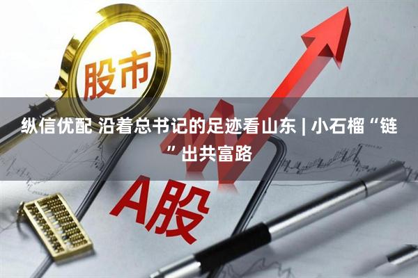 纵信优配 沿着总书记的足迹看山东 | 小石榴“链”出共富路