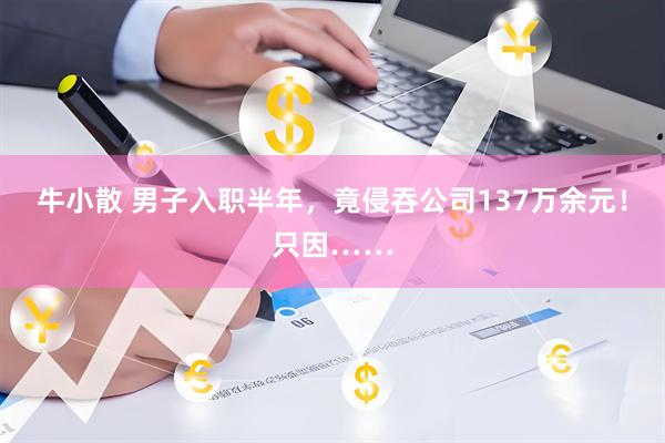 牛小散 男子入职半年，竟侵吞公司137万余元！只因……