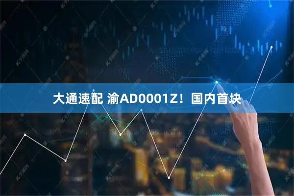 大通速配 渝AD0001Z！国内首块