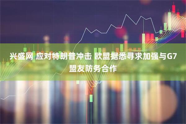兴盛网 应对特朗普冲击 欧盟据悉寻求加强与G7盟友防务合作