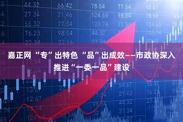 嘉正网 “专”出特色 “品”出成效——市政协深入推进“一委一品”建设