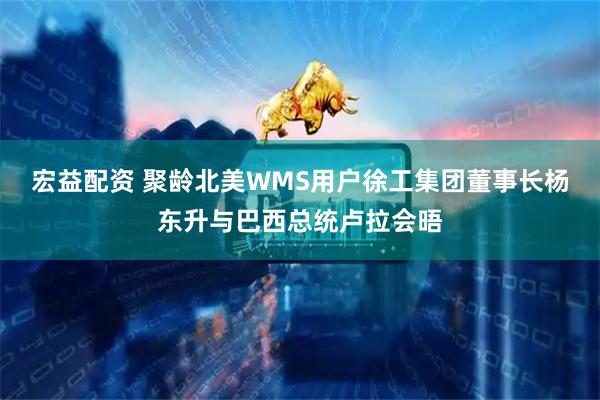 宏益配资 聚龄北美WMS用户徐工集团董事长杨东升与巴西总统卢拉会晤